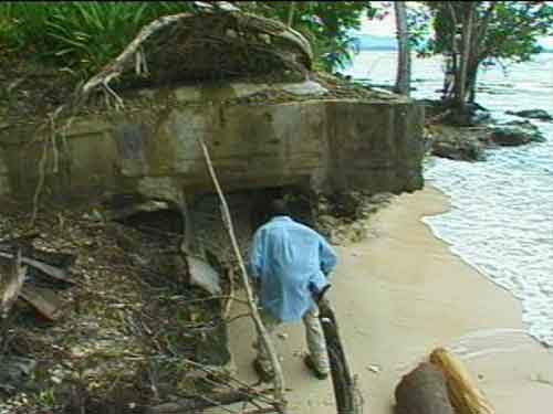 PacificWrecks.com
