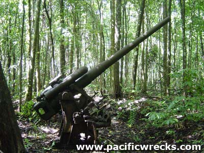 PacificWrecks.com