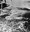 Click For Enlargement