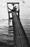 Click For Enlargement