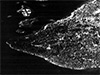 Click For Enlargement