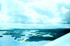 Click For Enlargement