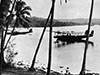 Click For Enlargement