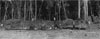 Click For Enlargement
