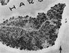 Click For Enlargement