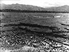 Click For Enlargmenet