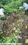 Click For Enlargement