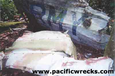 Early war P-40