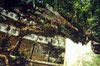 Click For Enlargement