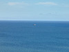 Click For Enlargement