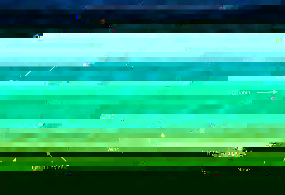 OronaL10E.jpg