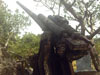 Click For Enlargement