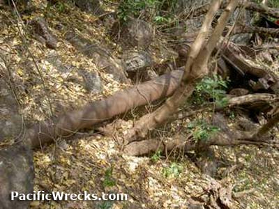 PacificWrecks.com