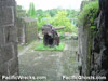 Click For Enlargement