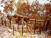 Click For Enlargement