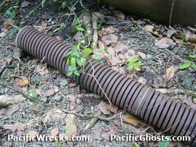 PacificWrecks.com