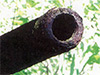 Click For Enlargement