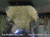 Click For Enlargement