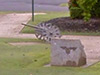Click For Enlargement