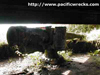 Click For Enlargement