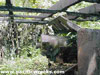 Click For Enlargement