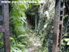 Click For Enlargement