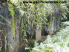 Click For Enlargement