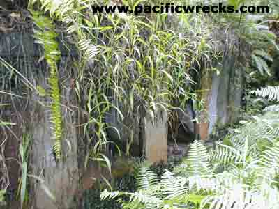PacificWrecks.com