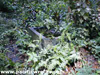 Click For Enlargement