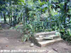 Click For Enlargement
