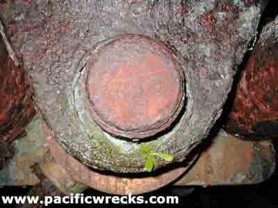 PacificWrecks.com