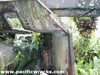 Click For Enlargement
