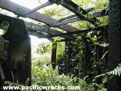 PacificWrecks.com