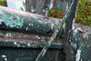 Click For Enlargement