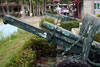 Click For Enlargement