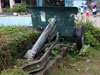 Click For Enlargement