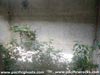 Click For Enlargement