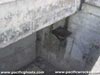Click For Enlargement