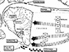 Click For Enlargement