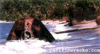 Click For Enlargement