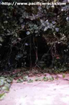 Click For Enlargement