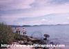 Click For Enlargement