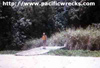 Click For Enlargement