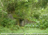 Click For Enlargement
