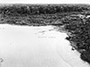 Click For Enlargement