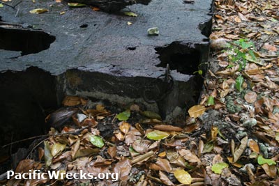 PacificWrecks.com