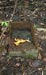 Click For Enlargement