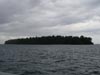 Click For Enlargement