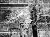 Click For Enlargement