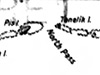 Click For Enlargement